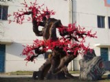 雕塑