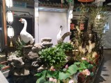 雕塑、景观