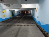 学校酒店场馆墙绘
