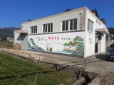 新农村建设墙绘 (11)